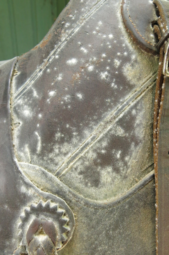 Moldy Leather?! Buckaroo Leather Products