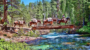A Brief History of Pack Horses