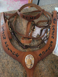 Halter-Combo Headstall Bridle
