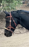Buckaroo Pro Western Leather Sidepull Stainless
