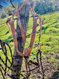 A Vintage Mecate Snaffle Bridle Set