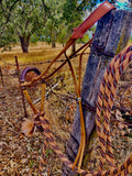 Bosal Rawhide Vaquero Style- All Natural