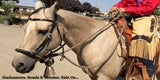 Bosal Rawhide Vaquero Style- All Natural