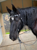 A Vintage Bridle/Breast Collar Set