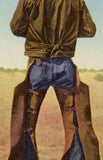 Batwing Leather Chaps