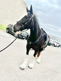 Halter-Combo Headstall Bridle