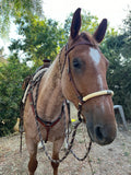 Loping Soft Nose Hackamore Set