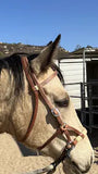 Buckaroo Sidepull Headstall with Rawhide Nose