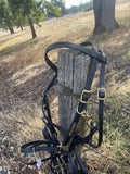 Custom mounted Police tack Headstall & Breast Collar