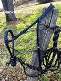 Black Beauty Concha Hackamore Set