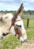 Buckaroo Sidepull Headstall with Rawhide Nose