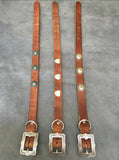 Dog Collars