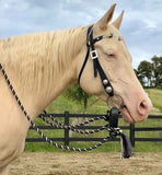 Black Old Visalia Bridle Set