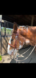 Halter-Combo Headstall Bridle