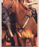 Custom mounted Police tack Headstall & Breast Collar