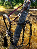 Hackamore Silver Vaquero Style