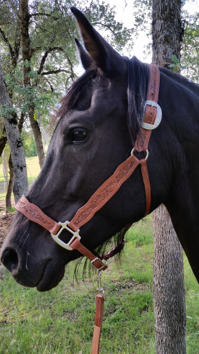 Ultimate Lined Leather Halter – Buckaroo Leather Products