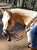 Bishop Bosal Hanger Headstall