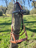 Visalia Sidepull