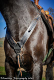 Buckaroo Pulling Breast Collar