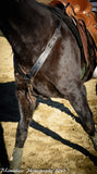 Buckaroo Pulling Breast Collar