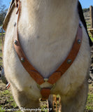 Nevada Style Breast Collar