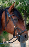 Black Latigo Bitless Bridle Leather Nose