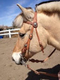 Buckaroo Old West Berry-Concha Style Headstall & Rein Set