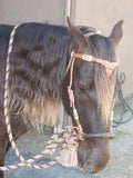 A Rawhide Accented Hackamore Set Alpaca Reins