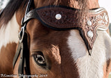 Tooled Leather Headstall