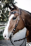 The Majestic Collection Headstall