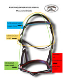 Bitless Bridle Sidepull Fitting Diagram