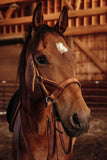 Sidepull Bitless Bridle