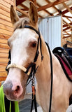 Buckaroo Sidepull Headstall with Rawhide Nose