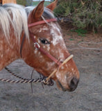 Loping Sidepull Hackmore