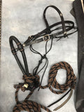 Black Beauty Concha Hackamore Set