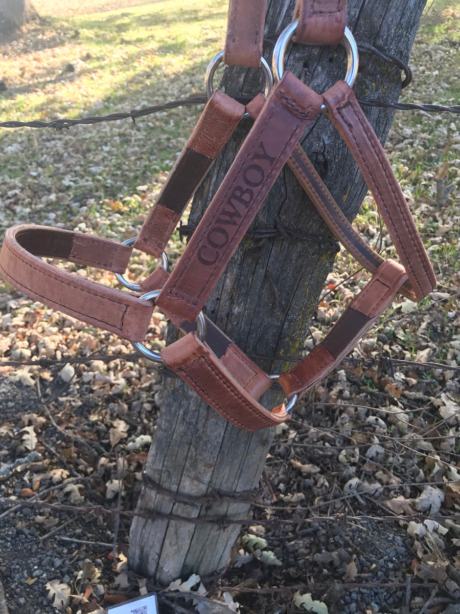 Showtime Leather Halter World-wide – C U at X Tack
