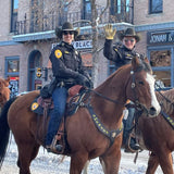 Mounted Officer Breast Collar