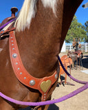 Breast Collar the Big Mesa, Hermann Oak® Leather