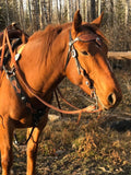 The Majestic Collection Headstall