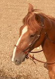 Rolled Nose Sidepull Bitless Bridle