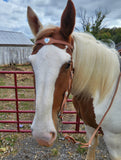 Buckaroo Style Harness Headstall and Rein Set