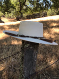 Buckaroo Punchy Palm Rancher Hat with Ribbon