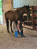 Farrier Shoeing Chaps, Hermann Oak® Leather