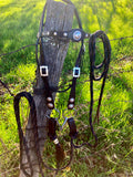 Black Old Visalia Bridle Set