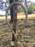 Bishop Bosal Hanger Headstall