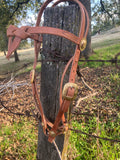 Brass Futurity Knot Browband headstall