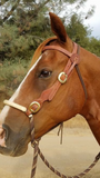 Quality Leather Horse Headstall Made in USA