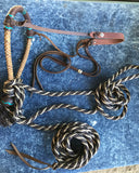 Brown Beauty turquoise Hackamore