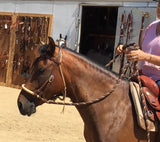 Loping Soft Nose Hackamore Set